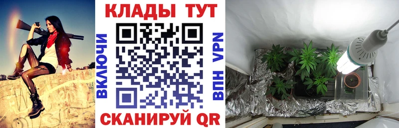Где продают наркотики Зеленодольск АМФЕТАМИН А ПВП omg зеркало Кокаин МАРИХУАНА ГАШИШ