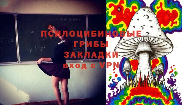 мяу мяу мука Абаза
