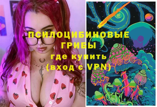 мяу мяу мука Абаза