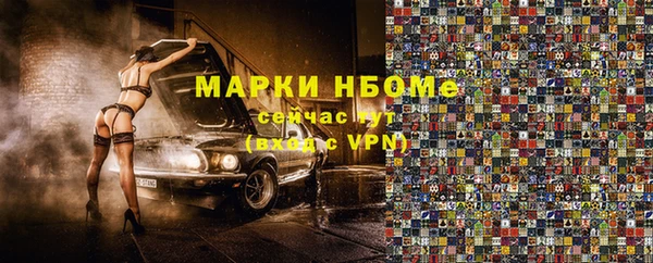 хмурый Алексин