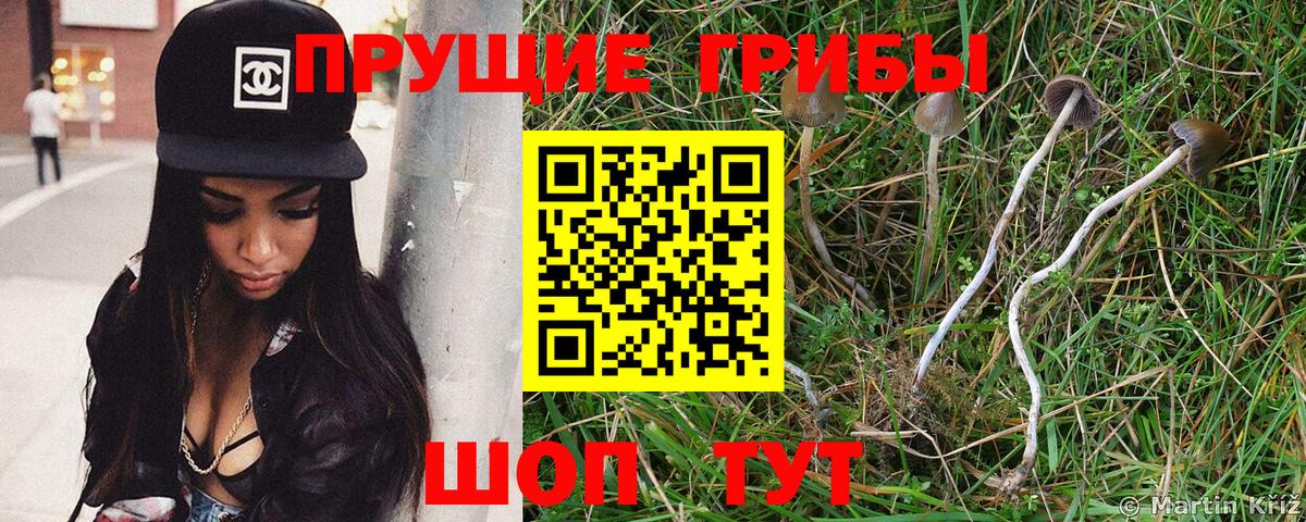 Псилоцибиновые грибы ЛСД Зеленодольск