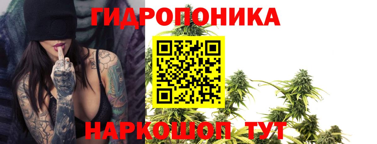 Зеленодольск  Канабис сатива  Вход с VPN  Конопля VHQ 